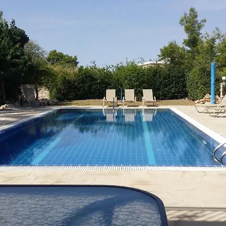 Androulla Argaka, Paphos Polis